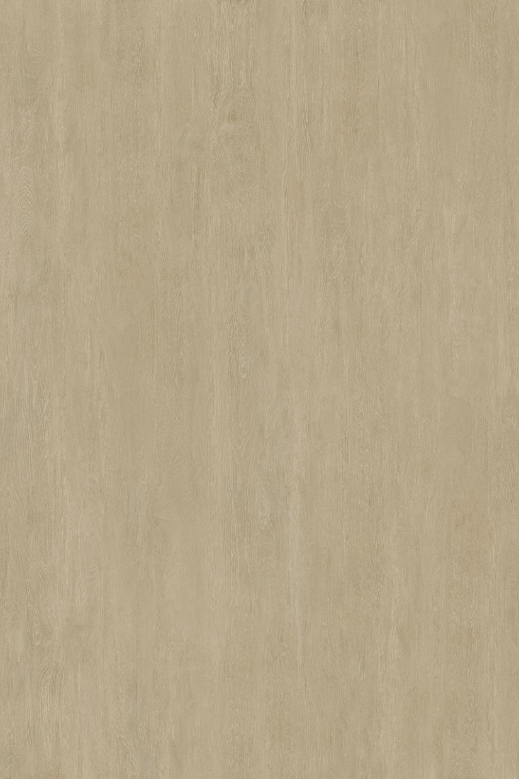 YCB9027069BJ 领航檀木黄