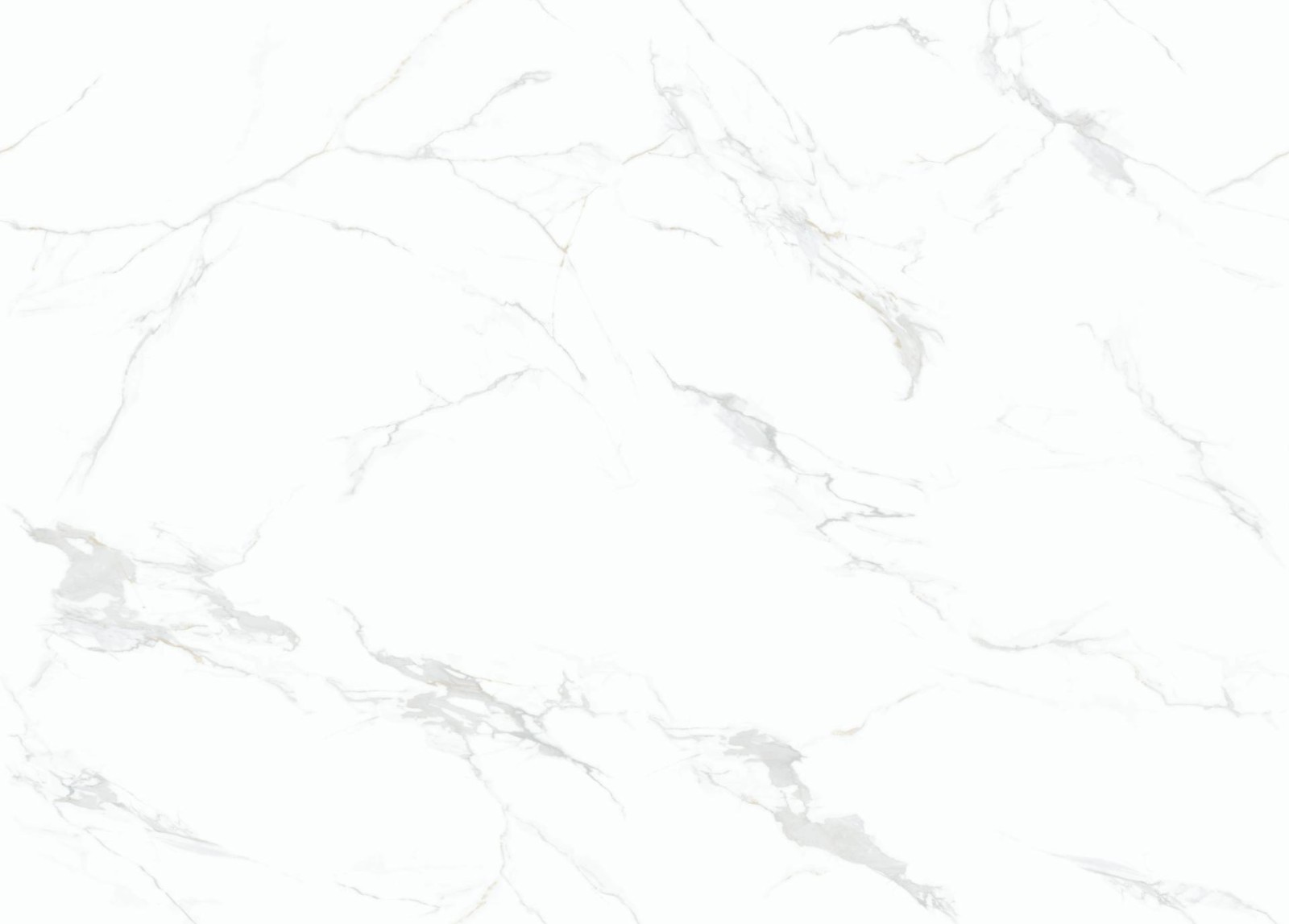 YCB9027009B 领航鱼肚白