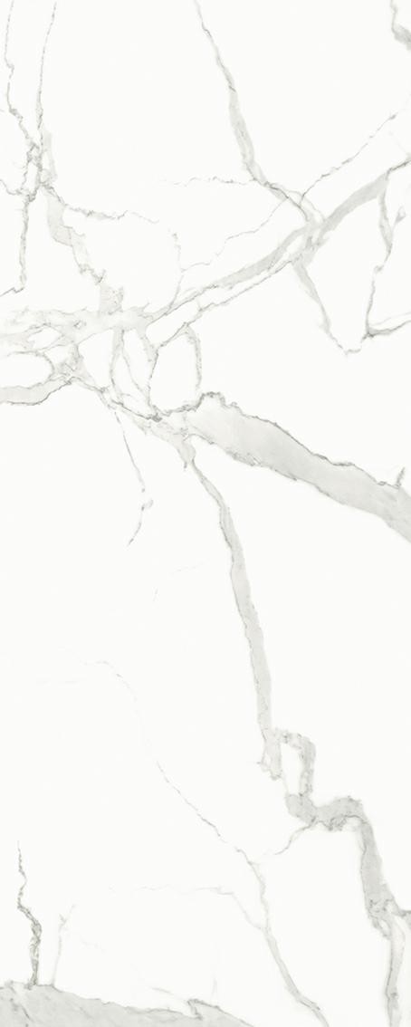 1S03CD100305-1901P（左右连纹）