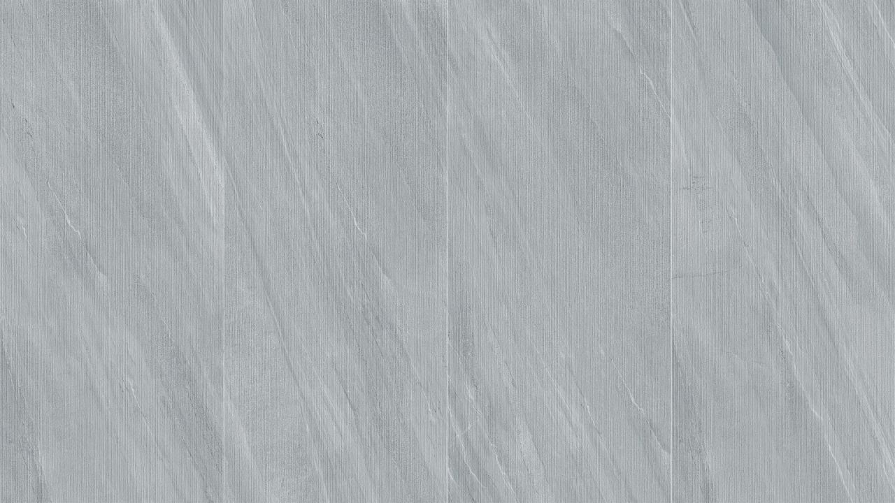 安第斯浅灰砂岩