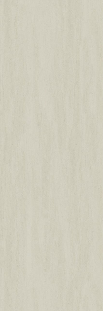 1030YBY606YM 法国木化石